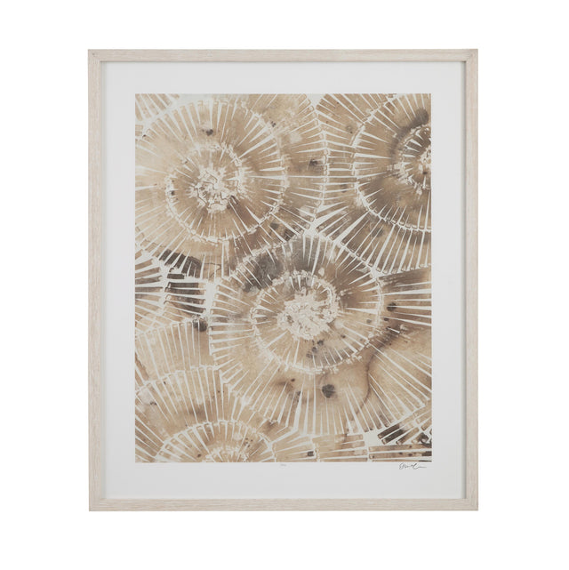 Bassett Brown Fossil Nautilus I Framed Print