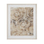 Bassett Brown Fossil Nautilus I Framed Print