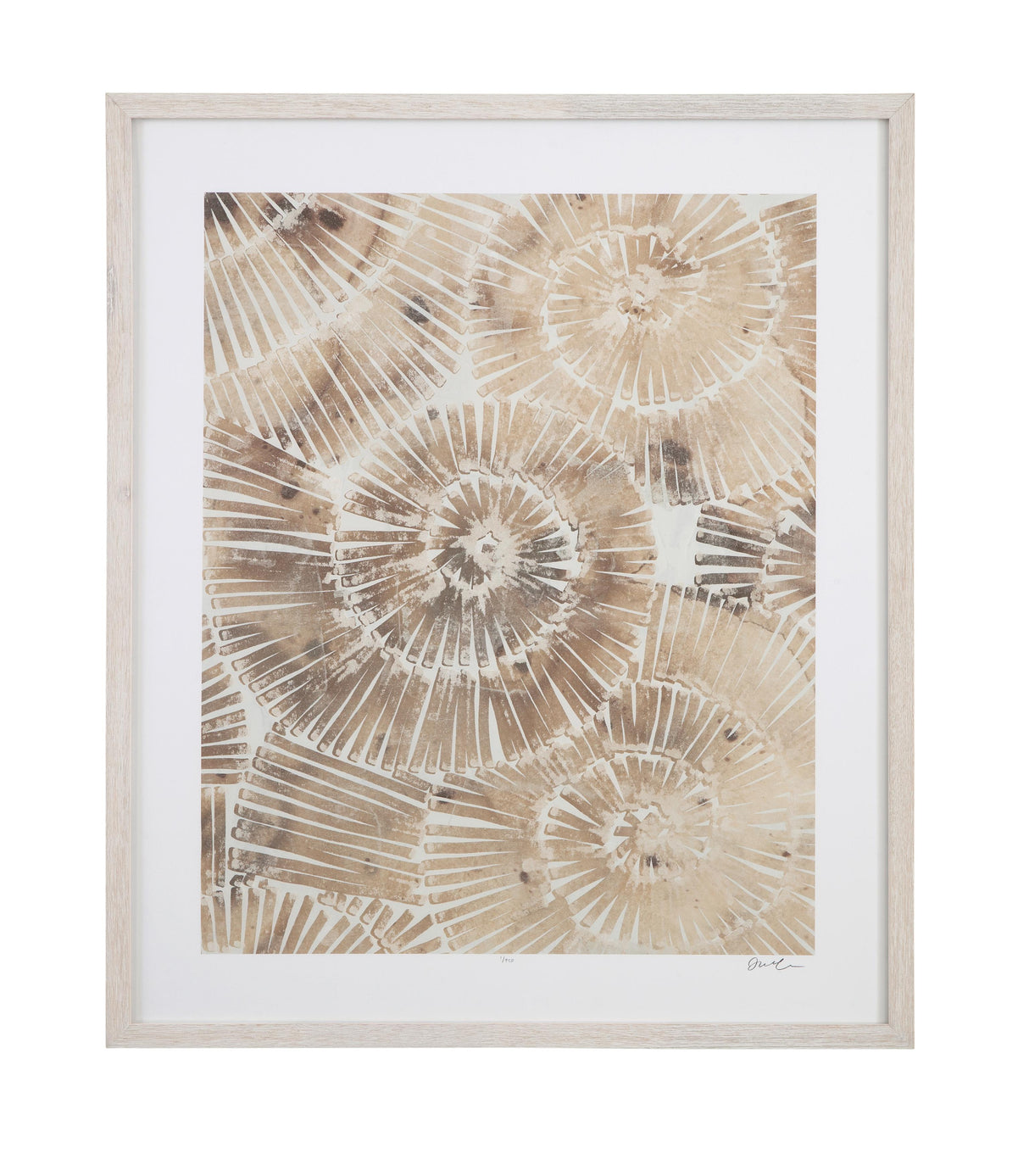 Bassett Brown Fossil Nautilus II Framed Print