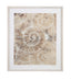 Bassett Brown Fossil Nautilus II Framed Print