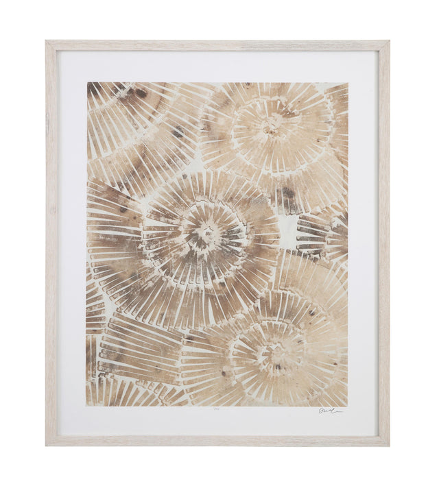 Bassett Brown Fossil Nautilus II Framed Print