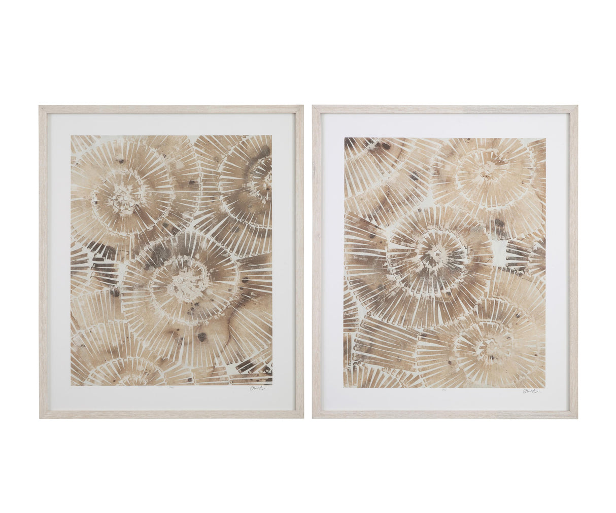 Bassett Brown Fossil Nautilus II Framed Print