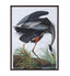 Bassett Gray Audubon Great Blue Heron Framed Print