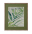 Bassett Green Green Palm I Framed Print