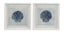 Bassett Blue, White Frame Blue Treasure Framed Print s/2