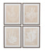 Bassett Beige, Dark Walnut Frame Marine Species Framed Print s/4