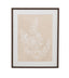 Bassett Beige, White, Light Gray, Dark Walnut Frame Cystoseira Faeniculacea Framed Print