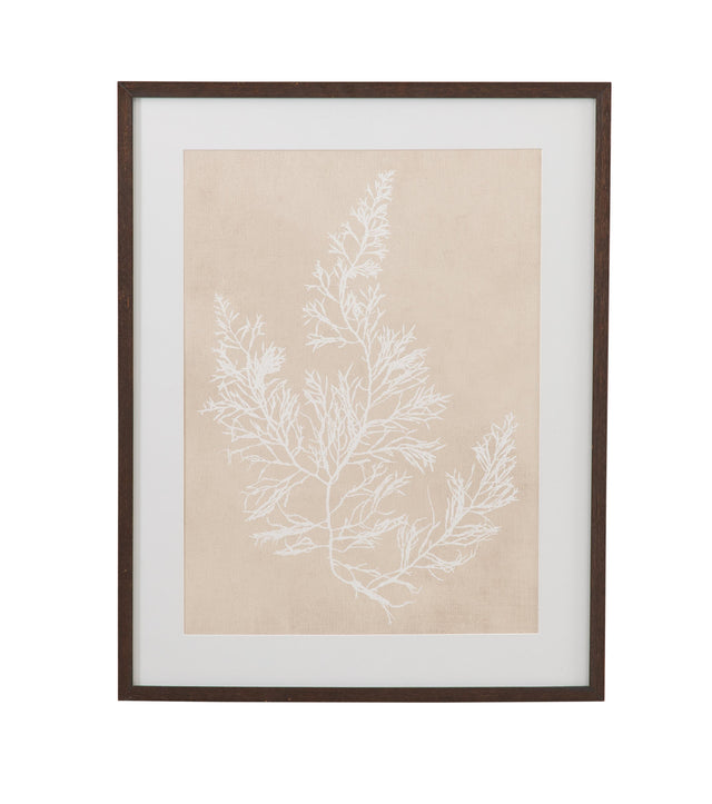 Bassett Beige, White, Light Gray, Dark Walnut Frame Cystoseira Faeniculacea Framed Print