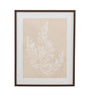 Bassett Beige, White, Light Gray, Dark Walnut Frame Cystoseira Faeniculacea Framed Print