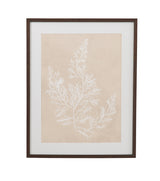 Bassett Beige, White, Light Gray, Dark Walnut Frame Cystoseira Faeniculacea Framed Print