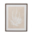 Bassett Beige, White, Light Gray, Dark Walnut Frame Cystoseira Ericoides Framed Print