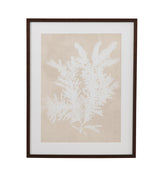 Bassett Beige, White, Light Gray, Dark Walnut Frame Ptilota Plumosa Framed Print