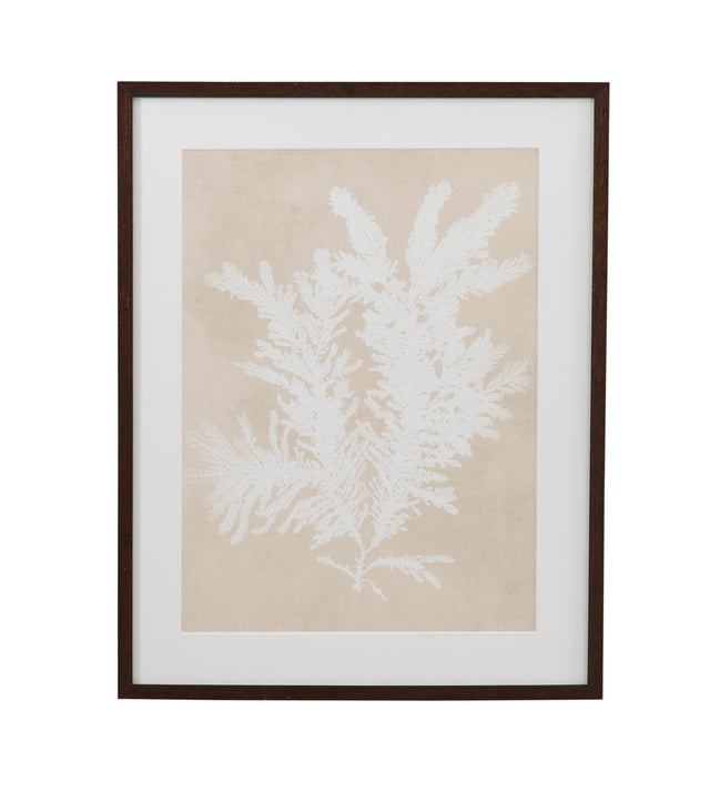 Bassett Beige, White, Light Gray, Dark Walnut Frame Ptilota Plumosa Framed Print