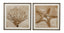 Bassett Tan, Brown, Off White, Weathered Black Frame Neutral Seafan & Starfish Framed Print s/2