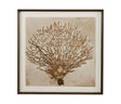 Bassett Tan, Brown, Off White, Weathered Black Frame Neutral Seafan Framed Print