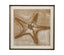 Bassett Tan, Brown, Off White, Weathered Black Frame Neutral Starfish Framed Print