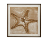 Bassett Tan, Brown, Off White, Weathered Black Frame Neutral Starfish Framed Print