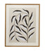 Bassett Black, White, Tan, Gold Frame Emerging Weeds II Framed Print