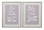 Bassett Lavender, White, Silver Frame Fresh Leaves Framed Print s/2