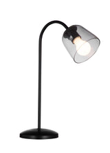 Bassett Bronze Veen Desk Lamp