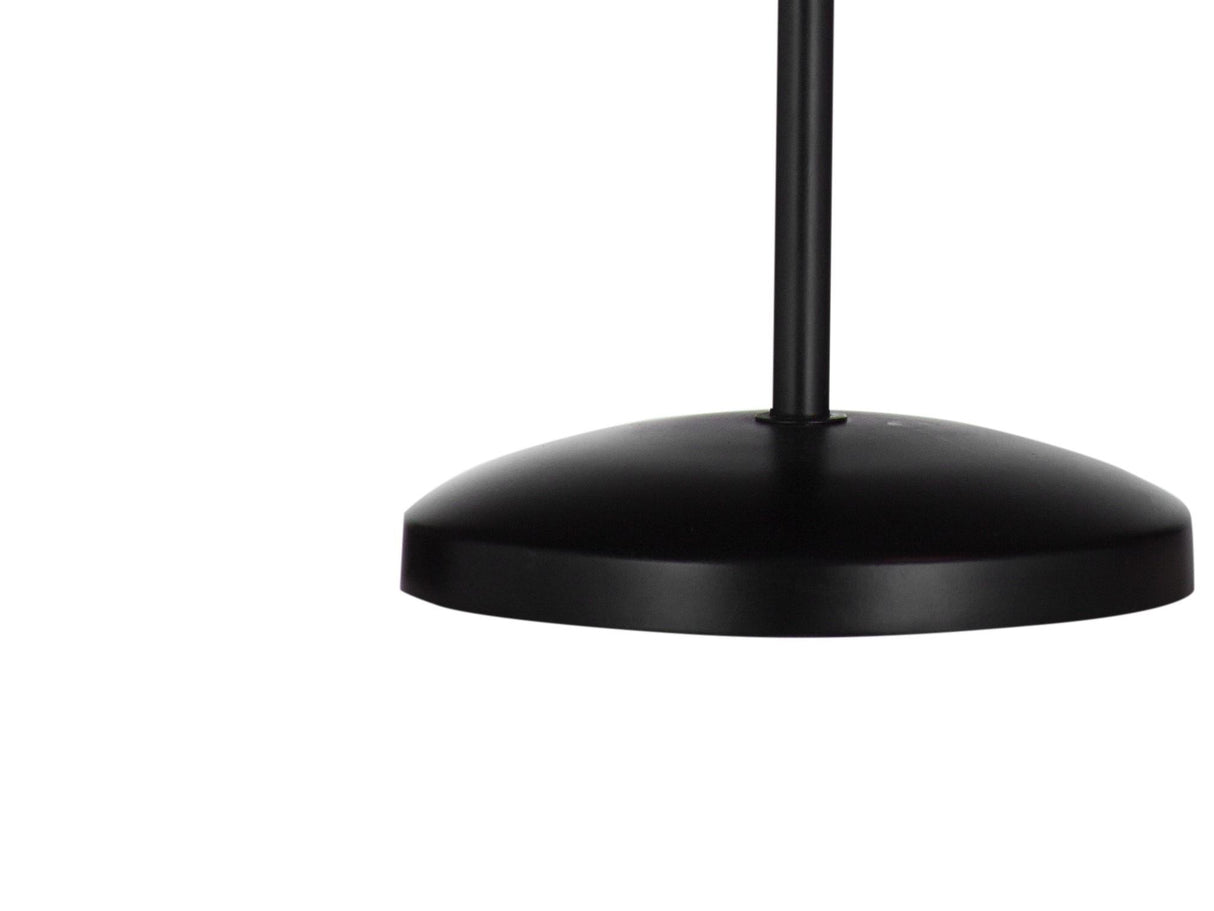 Bassett Bronze Veen Desk Lamp