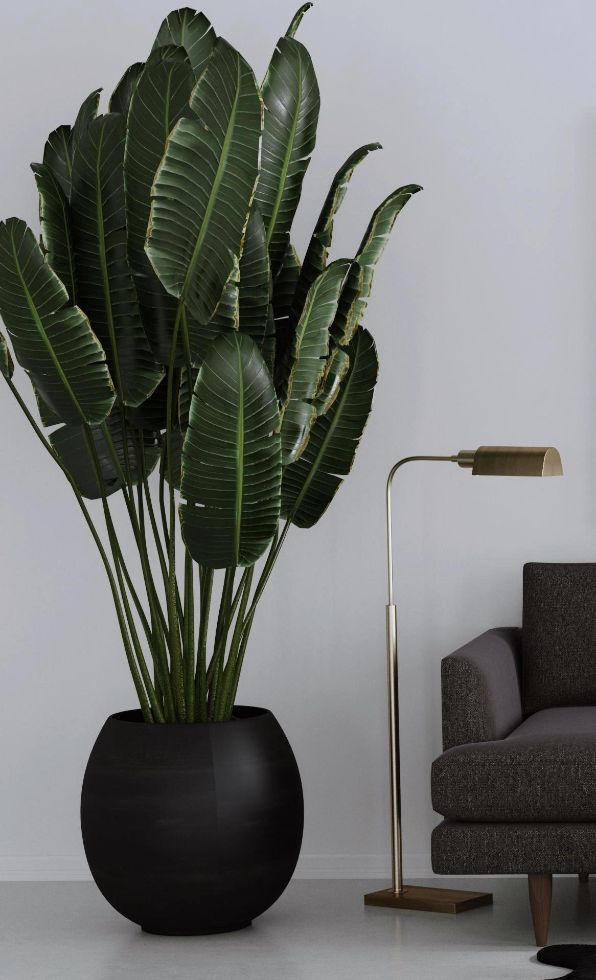 Bassett Brass Clatsop Floor Lamp