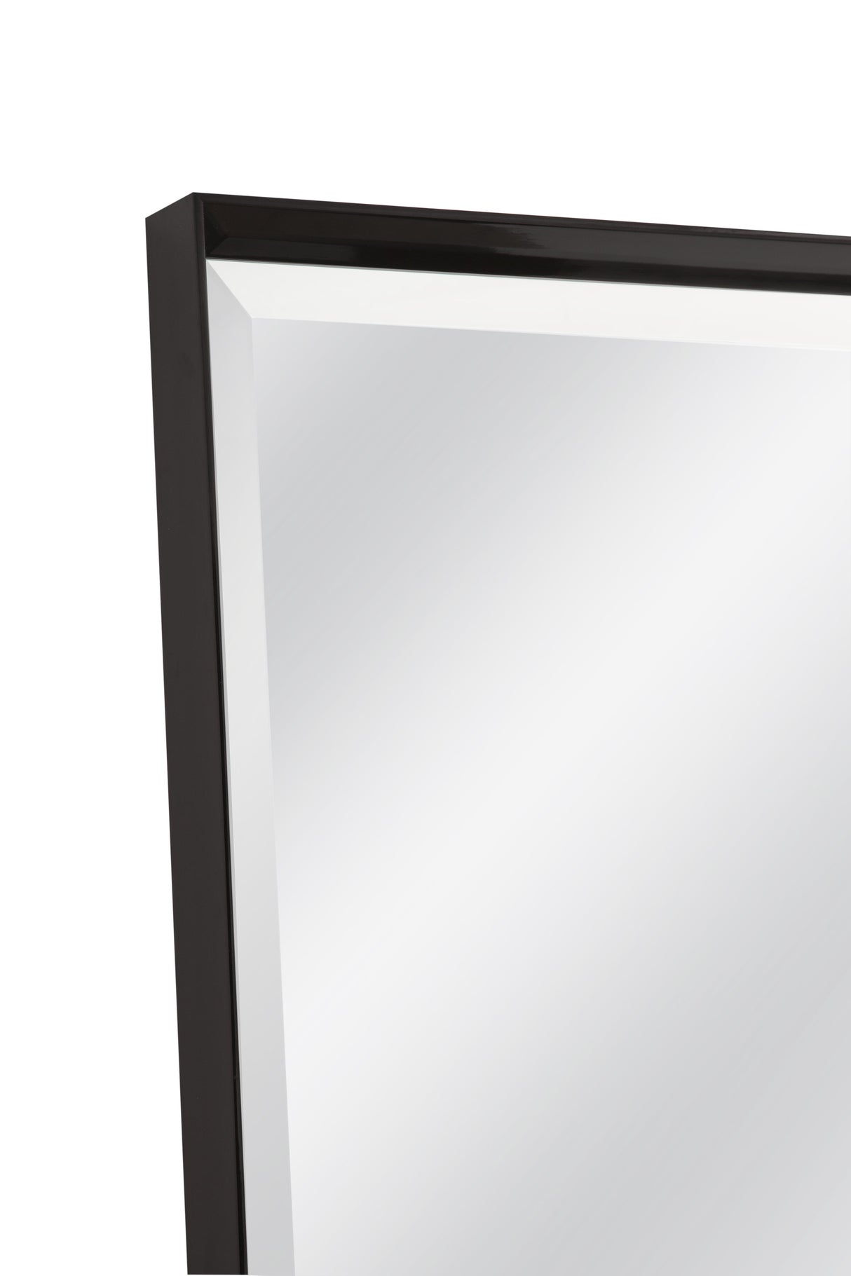 Bassett Black Driessen Floor Mirror