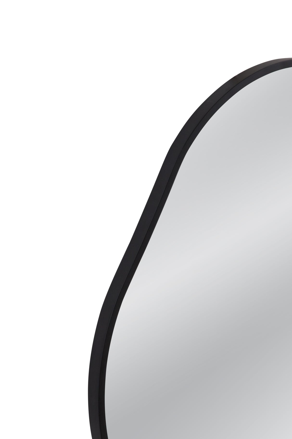 Bassett Black Karaniya Wall Mirror