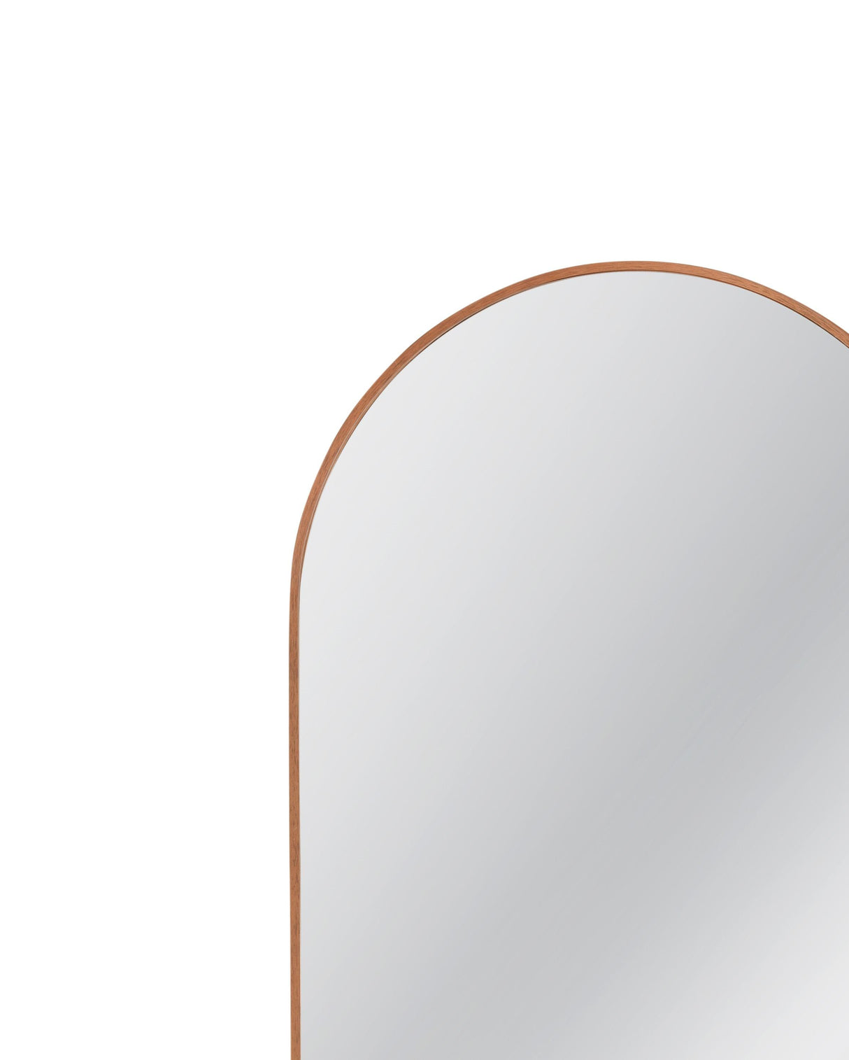 Bassett Brown Holly Floor Mirror