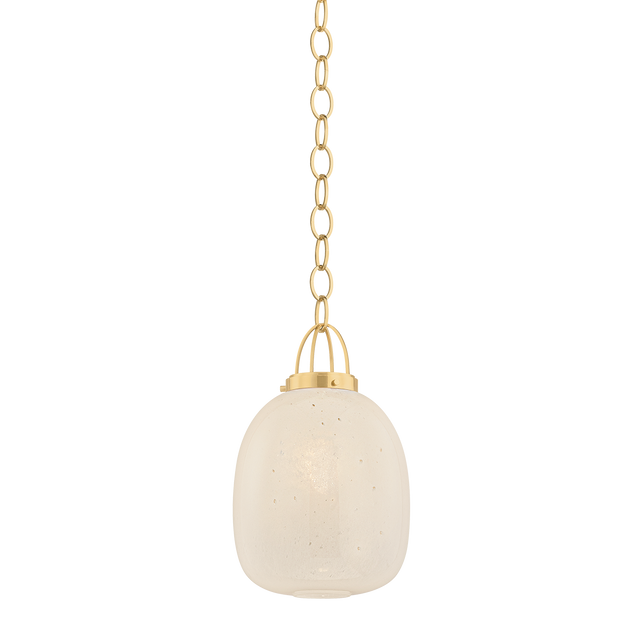 Hudson Valley Lighting Enosburg AGED BRASS 11W x 18.75H Pendant