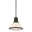 Hudson Valley Lighting Pinesbridge DISTRESSED BRONZE 10.5W x 10.5H Pendant