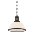 Hudson Valley Lighting Pinesbridge DISTRESSED BRONZE 14.5W x 13.75H Pendant