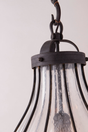 Troy Lighting Murphy FORGED IRON 9W x 33H Pendant