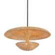 Troy Lighting Draco BRONZE LEAF 30W x 15H Pendant
