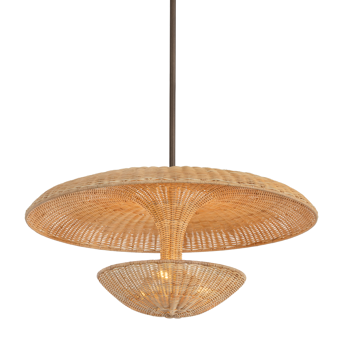 Troy Lighting Draco BRONZE LEAF 30W x 15H Pendant