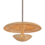 Troy Lighting Draco BRONZE LEAF 30W x 15H Pendant