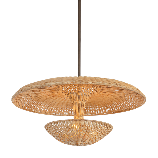 Troy Lighting Draco BRONZE LEAF 30W x 15H Pendant