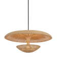Troy Lighting Draco BRONZE LEAF 40W x 20H Pendant