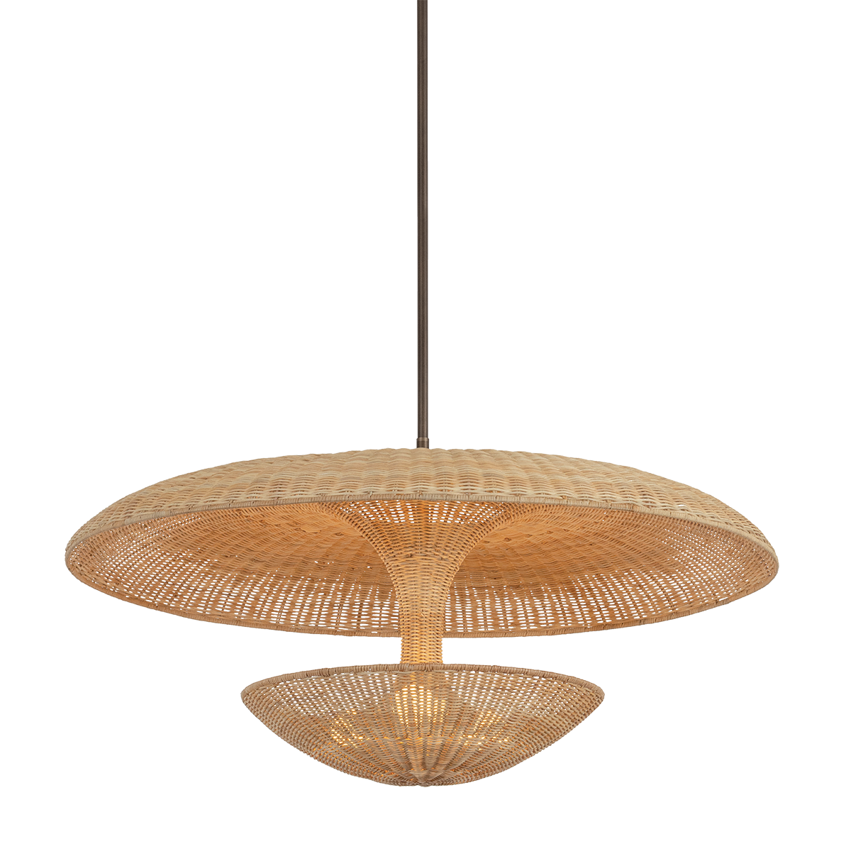 Troy Lighting Draco BRONZE LEAF 40W x 20H Pendant