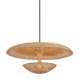 Troy Lighting Draco BRONZE LEAF 40W x 20H Pendant