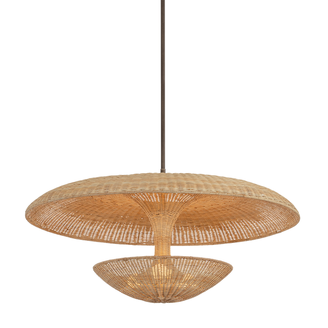 Troy Lighting Draco BRONZE LEAF 40W x 20H Pendant