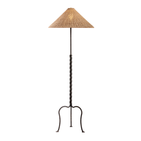 Troy Lighting Francisco FRENCH IRON 23.5W x 64H Floor Lamp