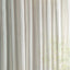 Sanderson Telltale Conch Fabric