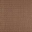 Sanderson Sabu Stripe Muntjac Fabric