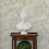 Advantage Reyne Taupe Marble Wallpaper