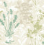 Advantage Santa Lucia Green Wild Flowers Wallpaper