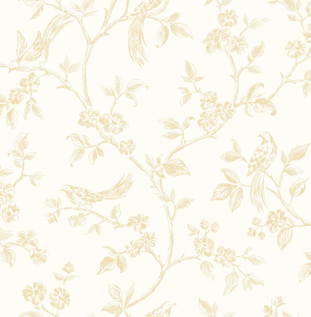 Advantage Ray Light Yellow Bird Trail Wallpaper