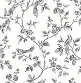 Advantage Ray Black Bird Trail Wallpaper