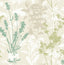 Advantage Pippin Green Wild Flowers Wallpaper