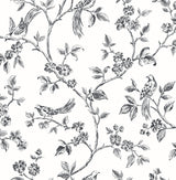 Advantage Ophelia Black Bird Trail Wallpaper